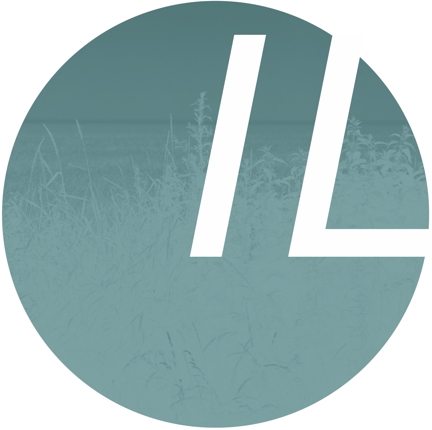 Ina Lindhout – Webdesign